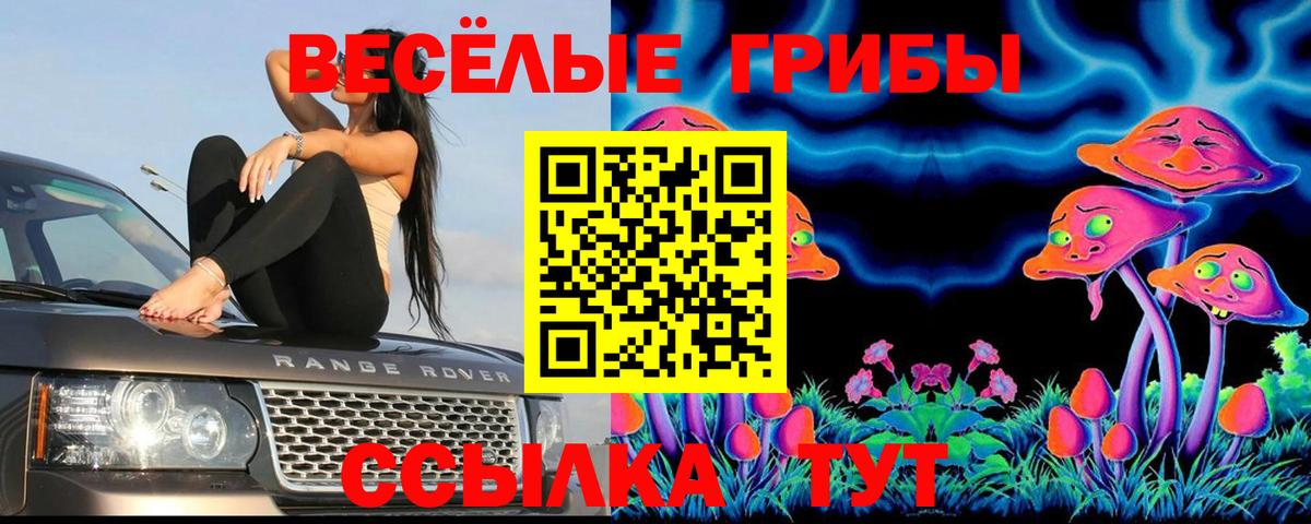 Псилоцибиновые грибы мицелий Тосно