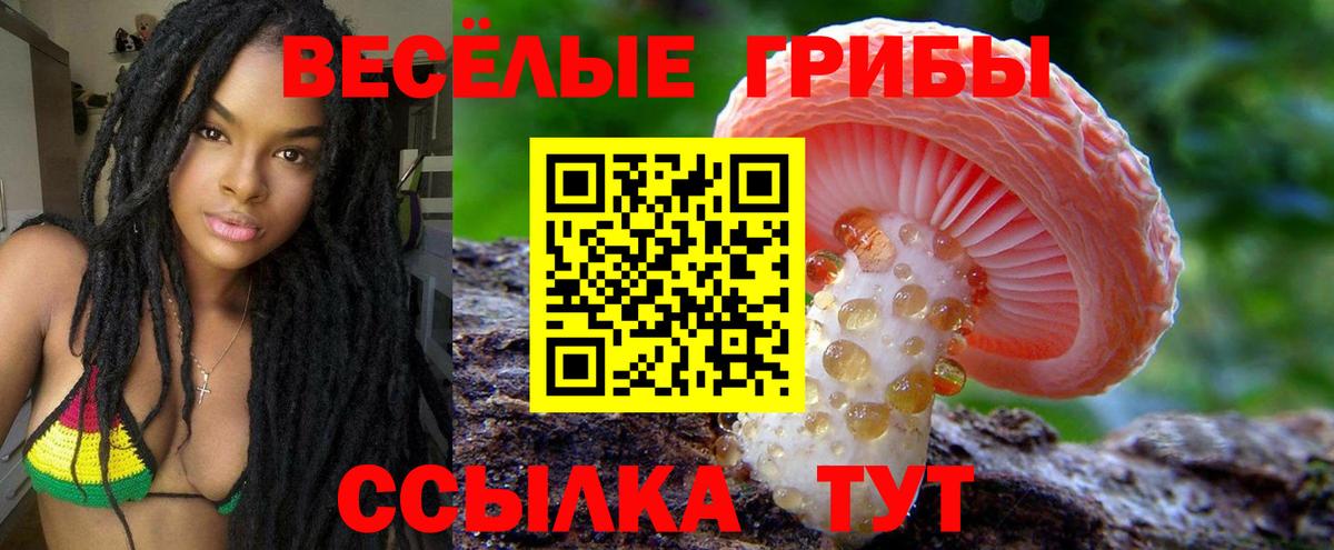 Тосно  Галлюциногенные грибы Psilocybe  Вход с VPN 
